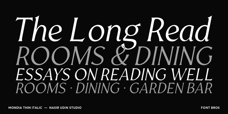 Mondia Thin Italic character specimen 2