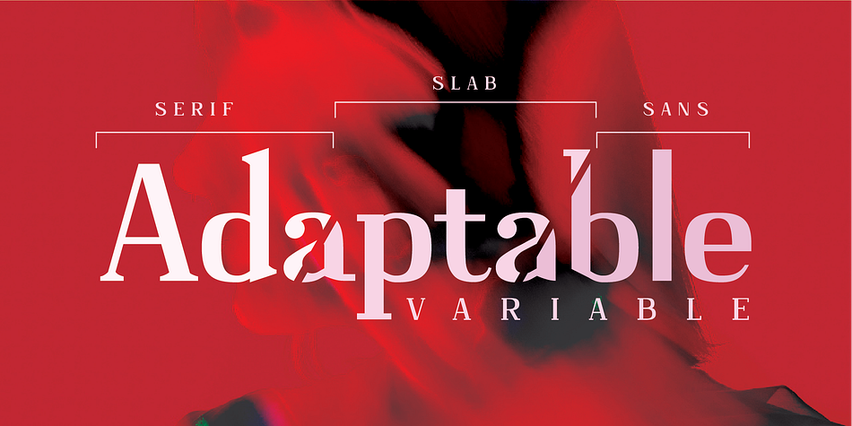 Adaptable Regular Serif family specimen 1