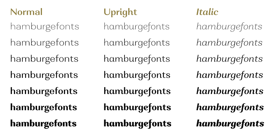 Alethia Next Light Italic family specimen 2