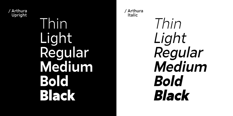 Arthura Thin Italic family specimen 2