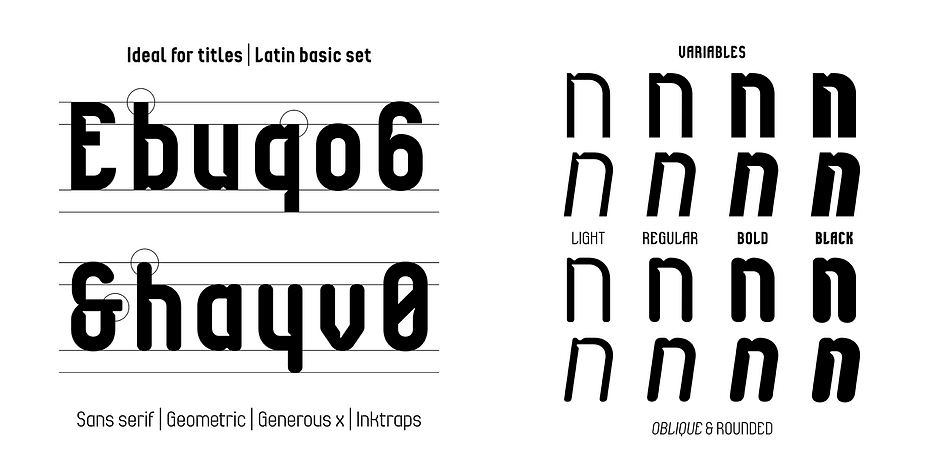 Ascetica Light Rounded family specimen 2