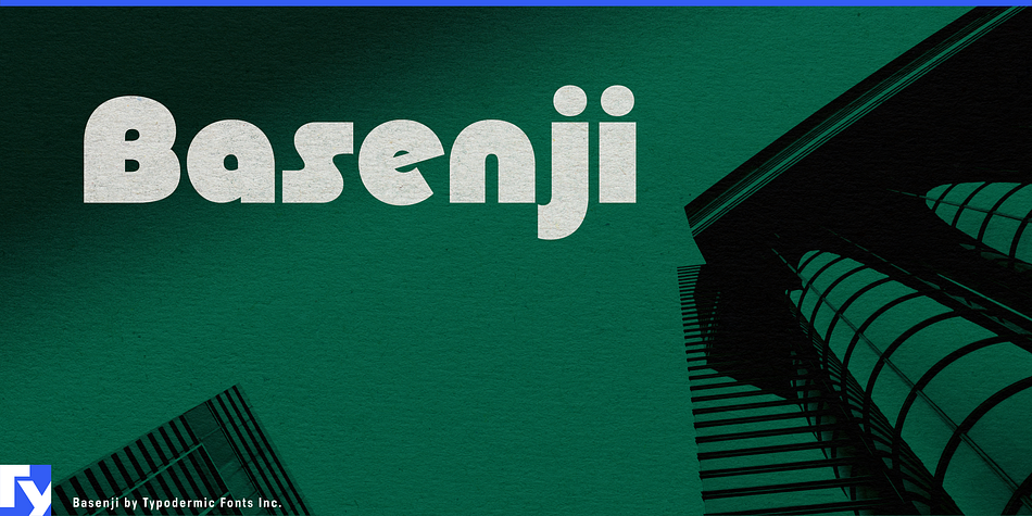 Basenji Semi Bold Italic family preview
