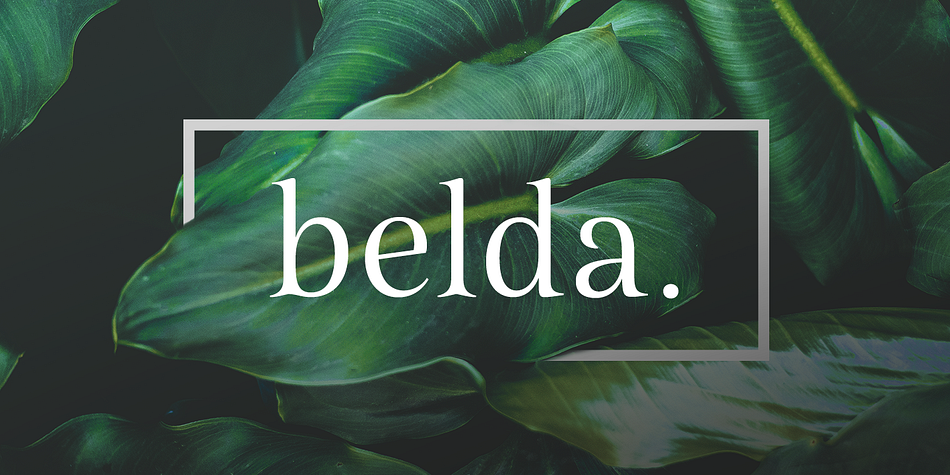 Belda Regular family specimen 1