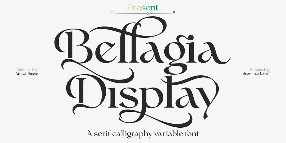 Bellagia Display Thin family specimen 1