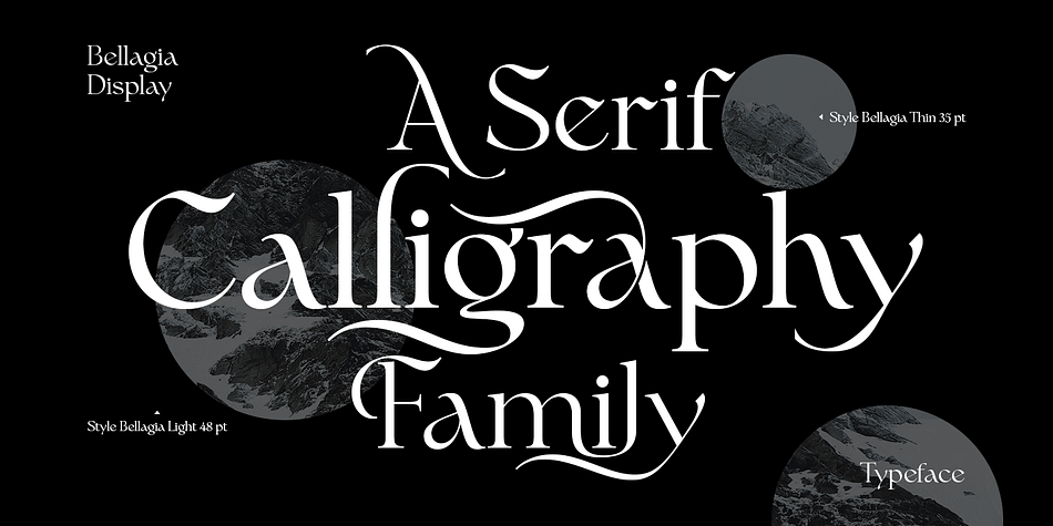 Bellagia Display Thin family specimen 2
