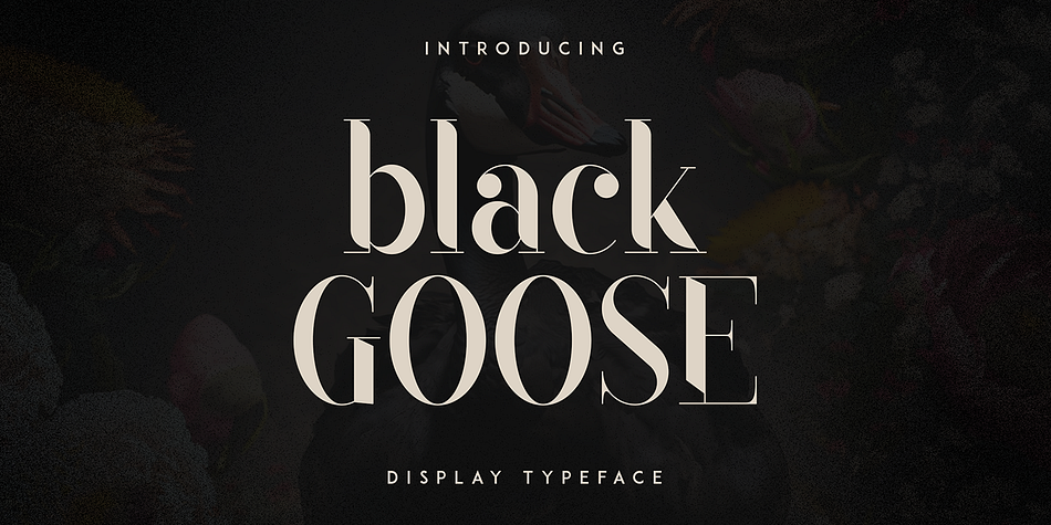 Black Goose Cut family specimen 1