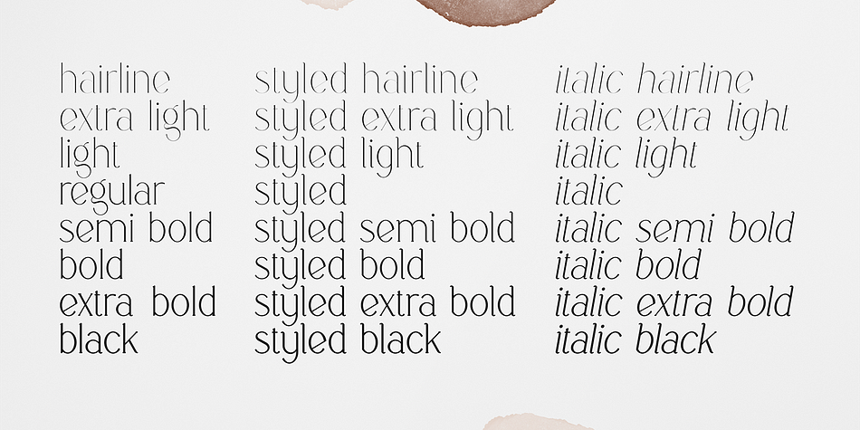 Boketto Extra Light family specimen 2