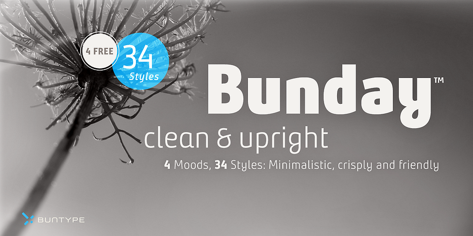 Bunday Clean Semi Light Up Italic family preview
