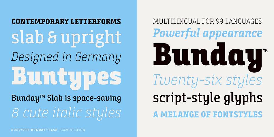 Bunday Slab Bold family specimen 2