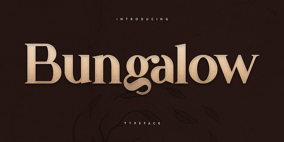 Bungalow Display Bold family specimen 1