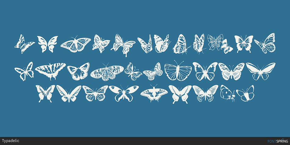 Butterflies Regular family preview