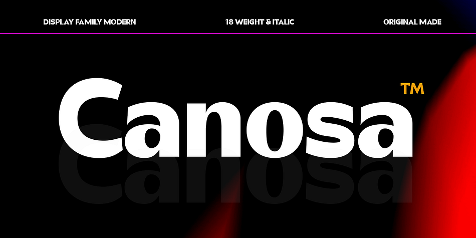 Canosa Thin Italic family specimen 1