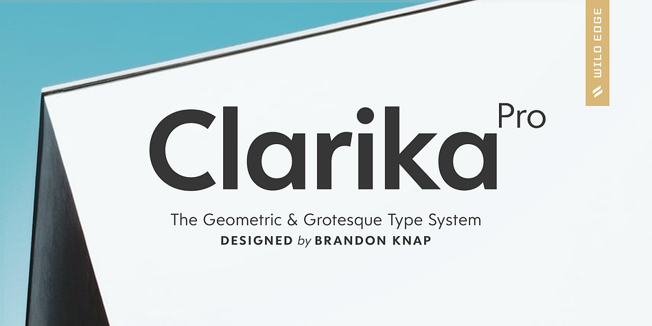 Clarika Pro Geometric Medium family specimen 1