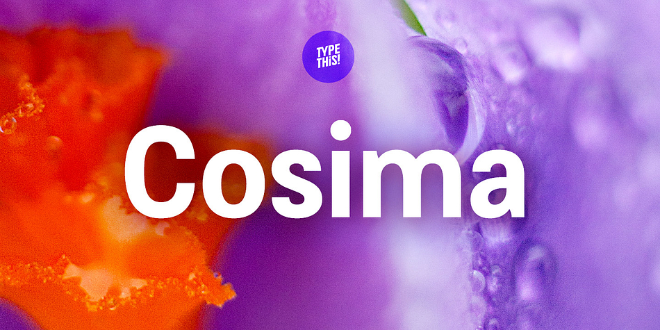 Cosima Medium family specimen 1