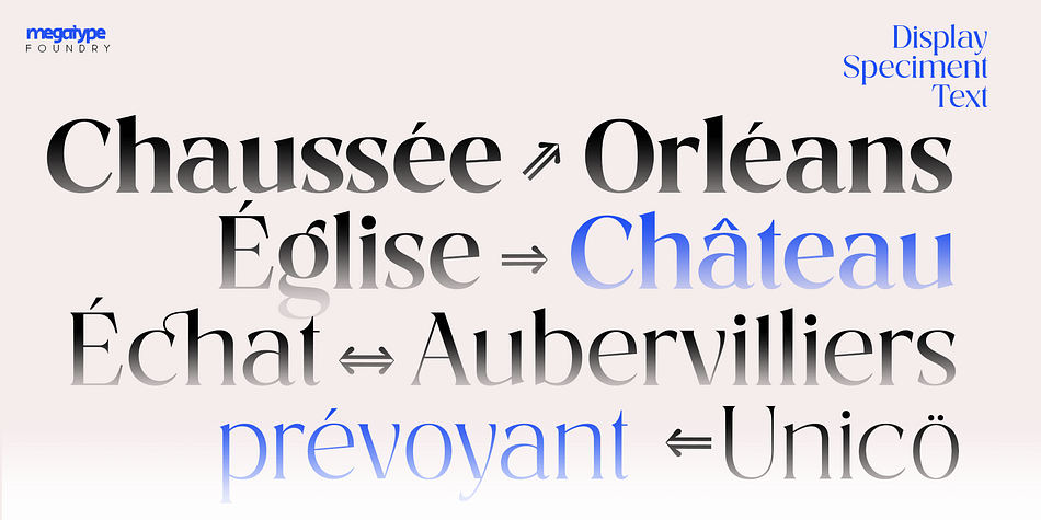 Costaline Thin Italic family specimen 2