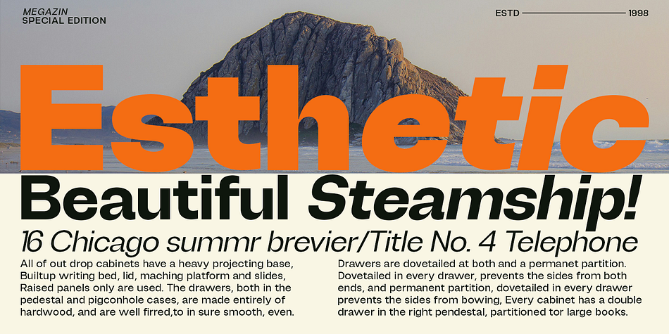 Degitan Condensed Thin Italic family specimen 2