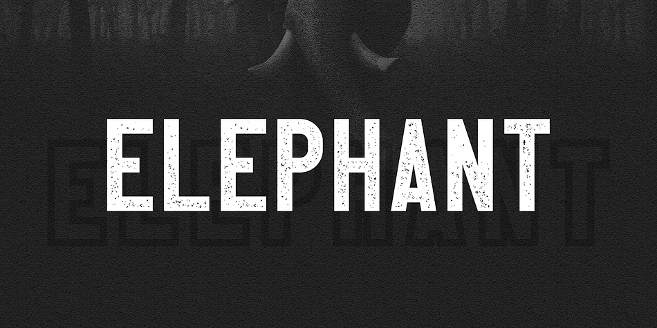 Elephant Rough family specimen 1