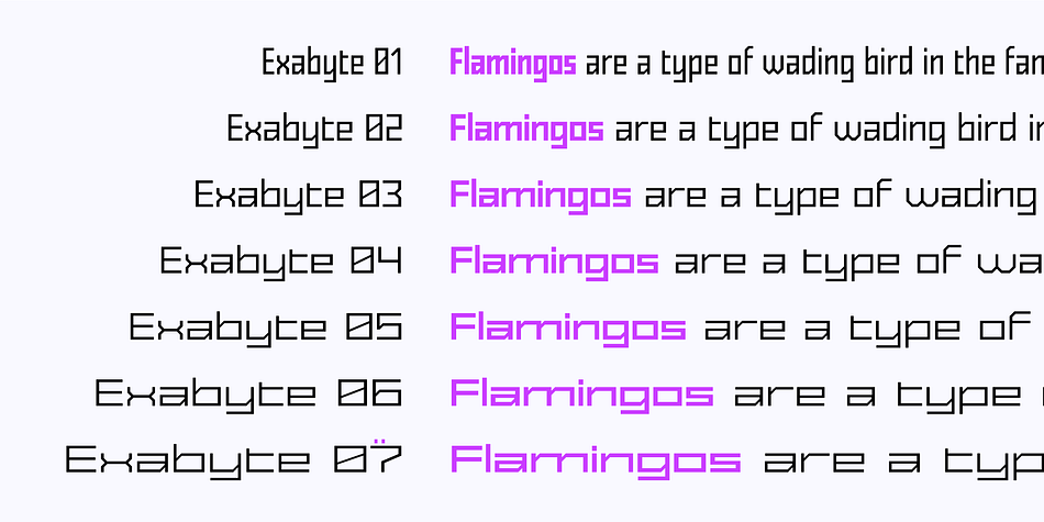 Exabyte 03 Extra Light family specimen 2