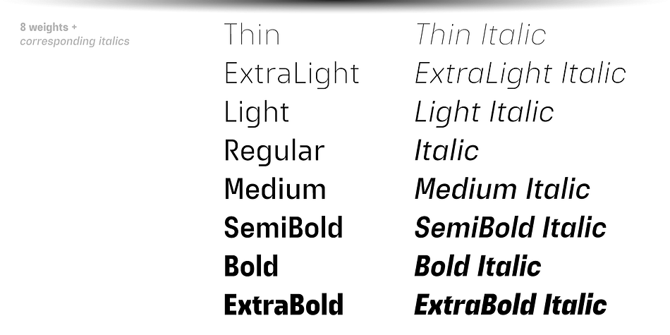 Extatica Light family specimen 2