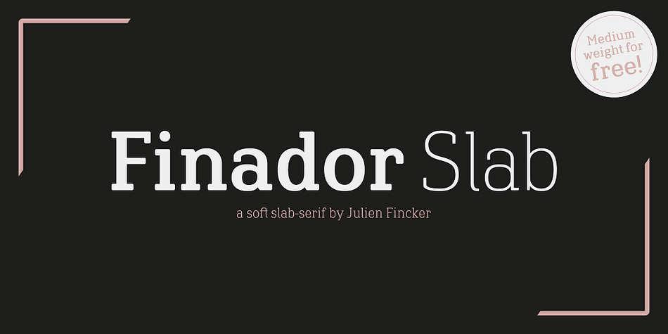 Finador Slab Medium family preview