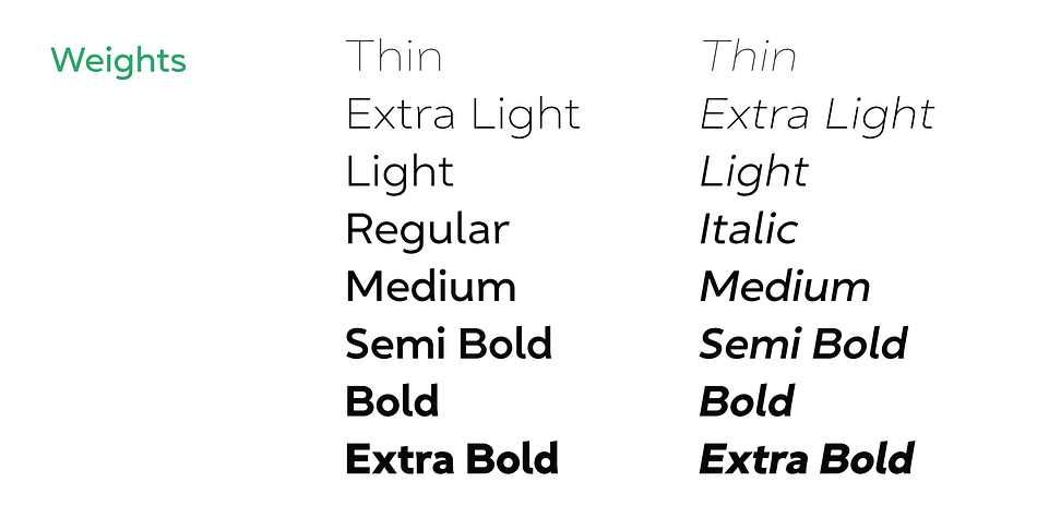 Golca Extra Light family specimen 2