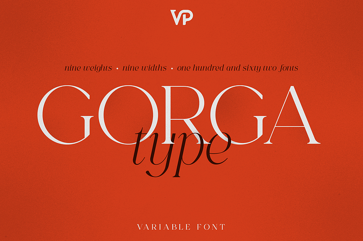 Gorga Type Medium Expanded family specimen 1