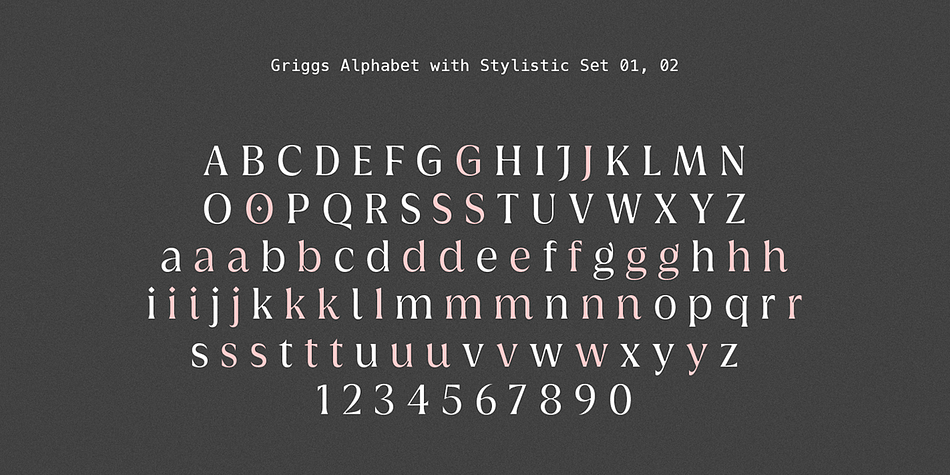 Griggs Flare Thin family specimen 2