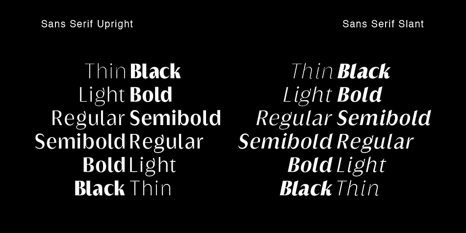 Griggs Sans Thin Slnt family specimen 2