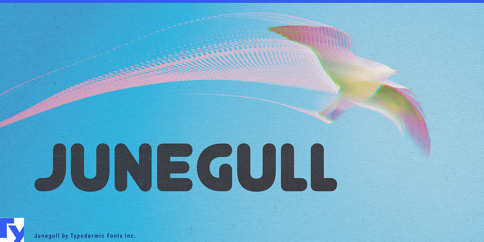 Junegull Regular family preview