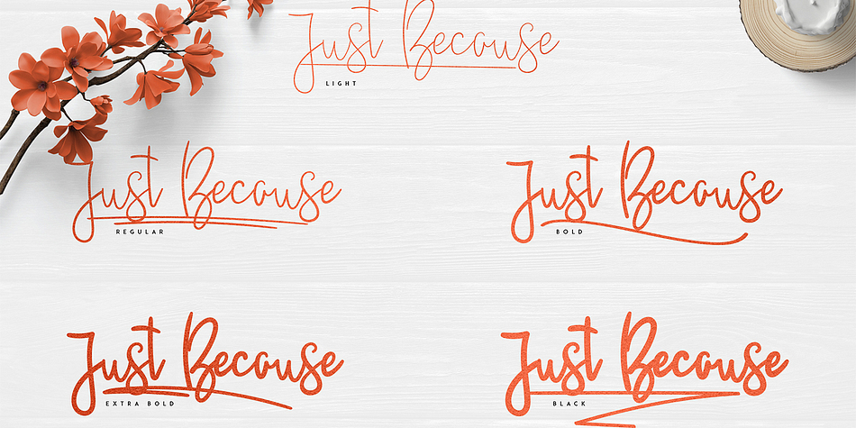 JustBecause Regular family specimen 2
