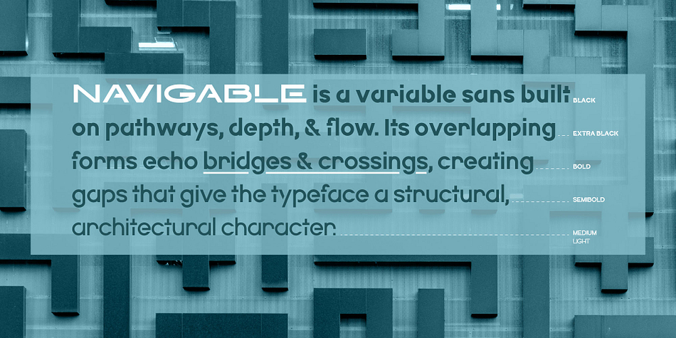 Navigable Lite Variable family specimen 2