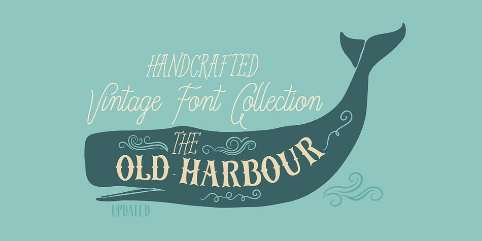 Old Harbour Starfish family specimen 1