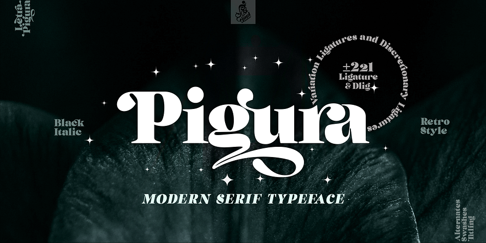 Pigura Serif Italic family preview