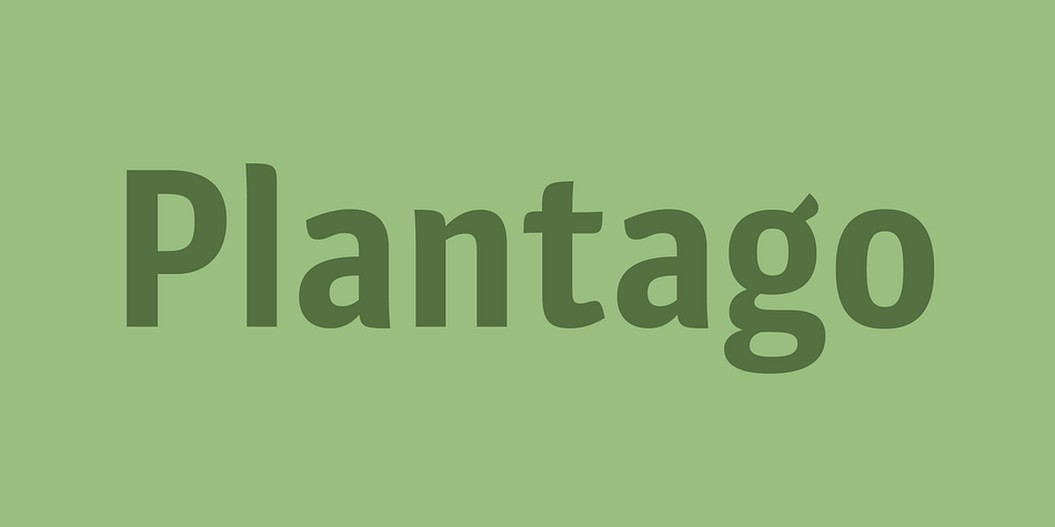 Plantago Black family preview