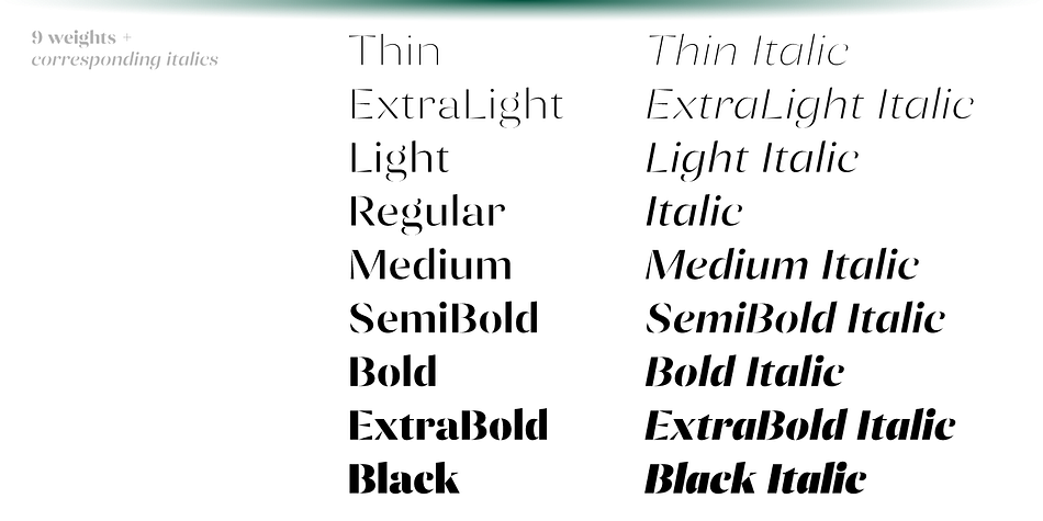 Ponzu Light Italic family specimen 2