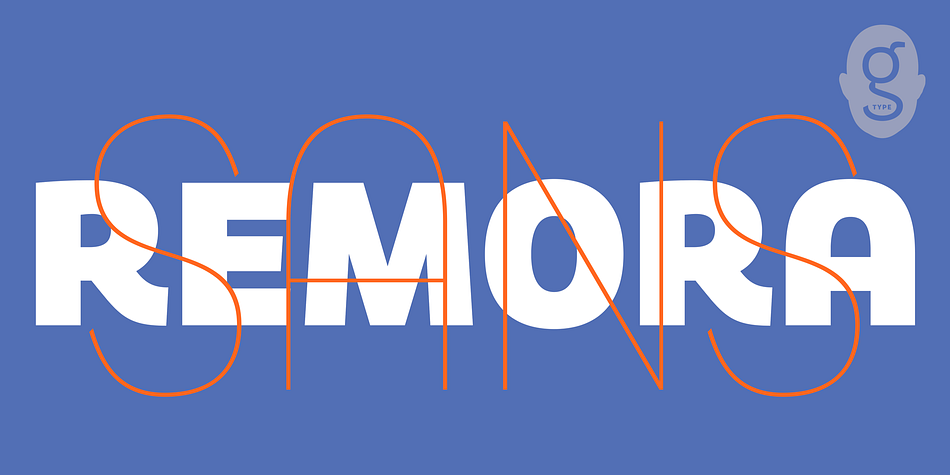 Remora Sans 5 W5 Medium Italic family specimen 2