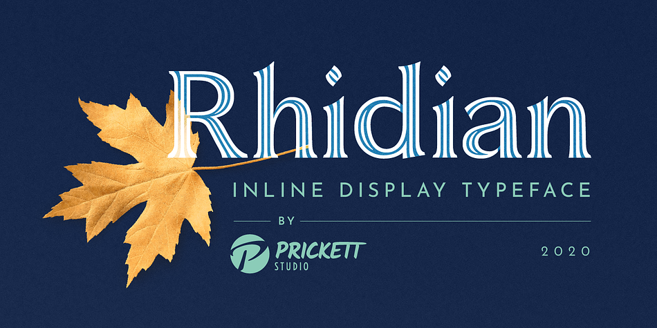 Rhidian Solid family specimen 1