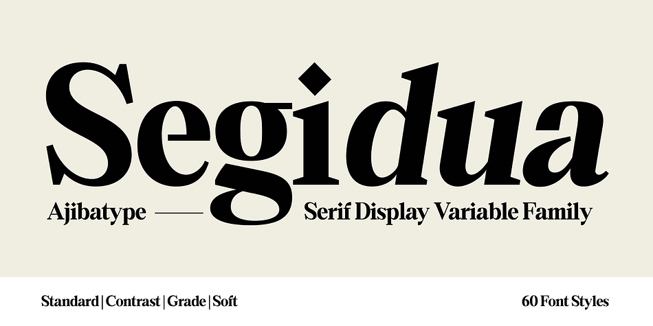 Segidua Grade Outline Italic family preview