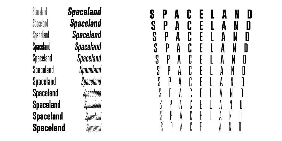 Spaceland Ten family specimen 2