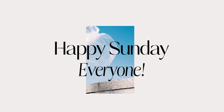 Talesha Condensed 02 Slant family specimen 2