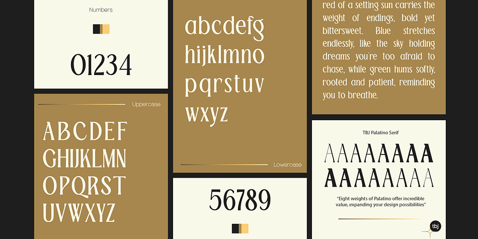 TBJ Palatino Sans Extra Bold family specimen 2