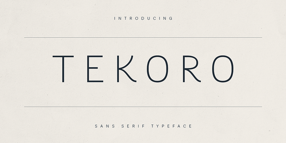 Tekoro Regular family preview