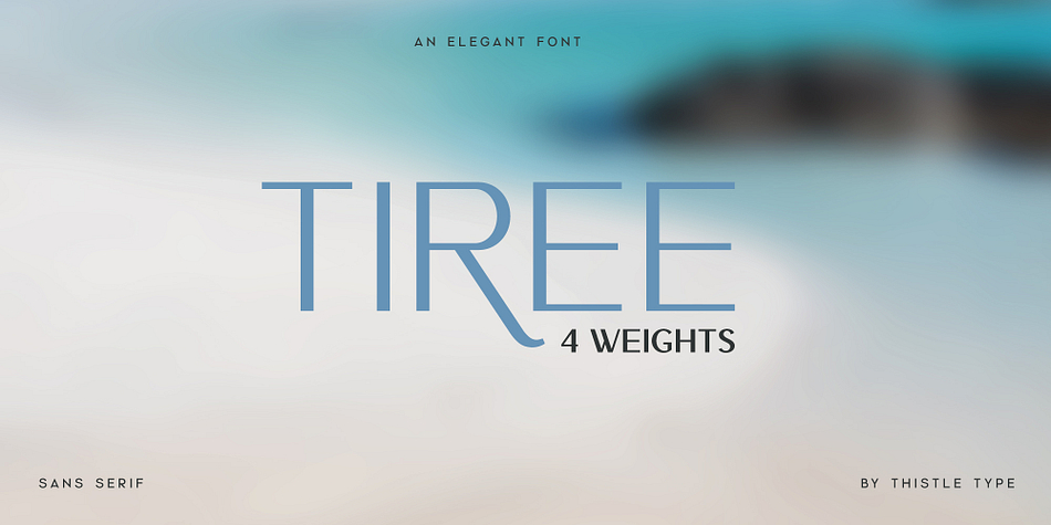 Tiree Medium family specimen 1