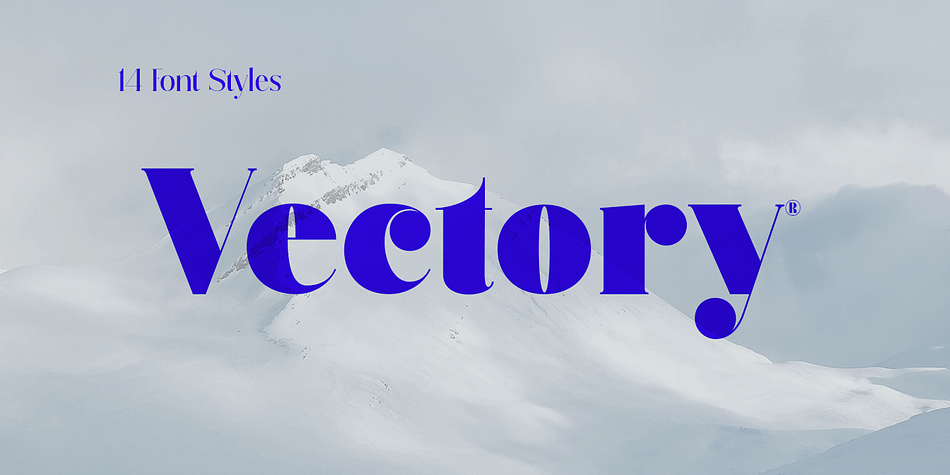 Vectory Regular family specimen 1