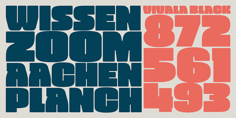 Vivala Black Bold family specimen 2
