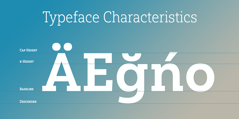 Yorkten Slab Regular family specimen 2