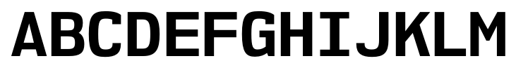 NK57 Monospace Bold font specimen
