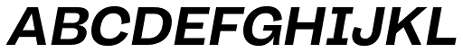 Body Grotesque Fit Bold Italic font specimen