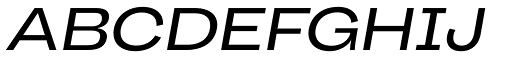 Body Grotesque Large Italic font specimen