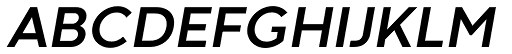 Codec Warm Bold Italic font specimen